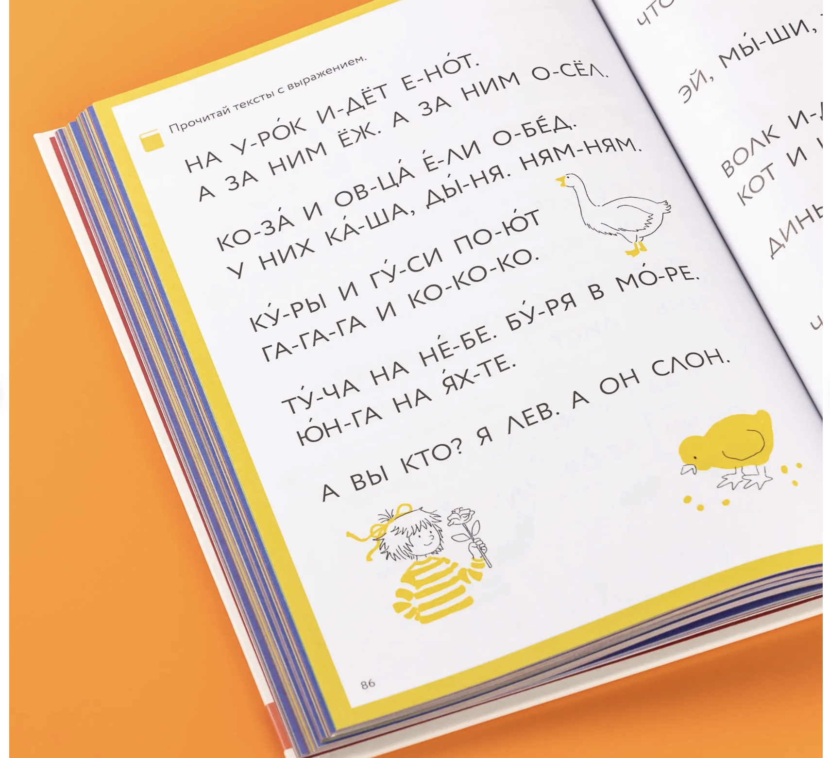 Букварь. Навыки чтения с нуля до первых слов: Учим буквы с Конни