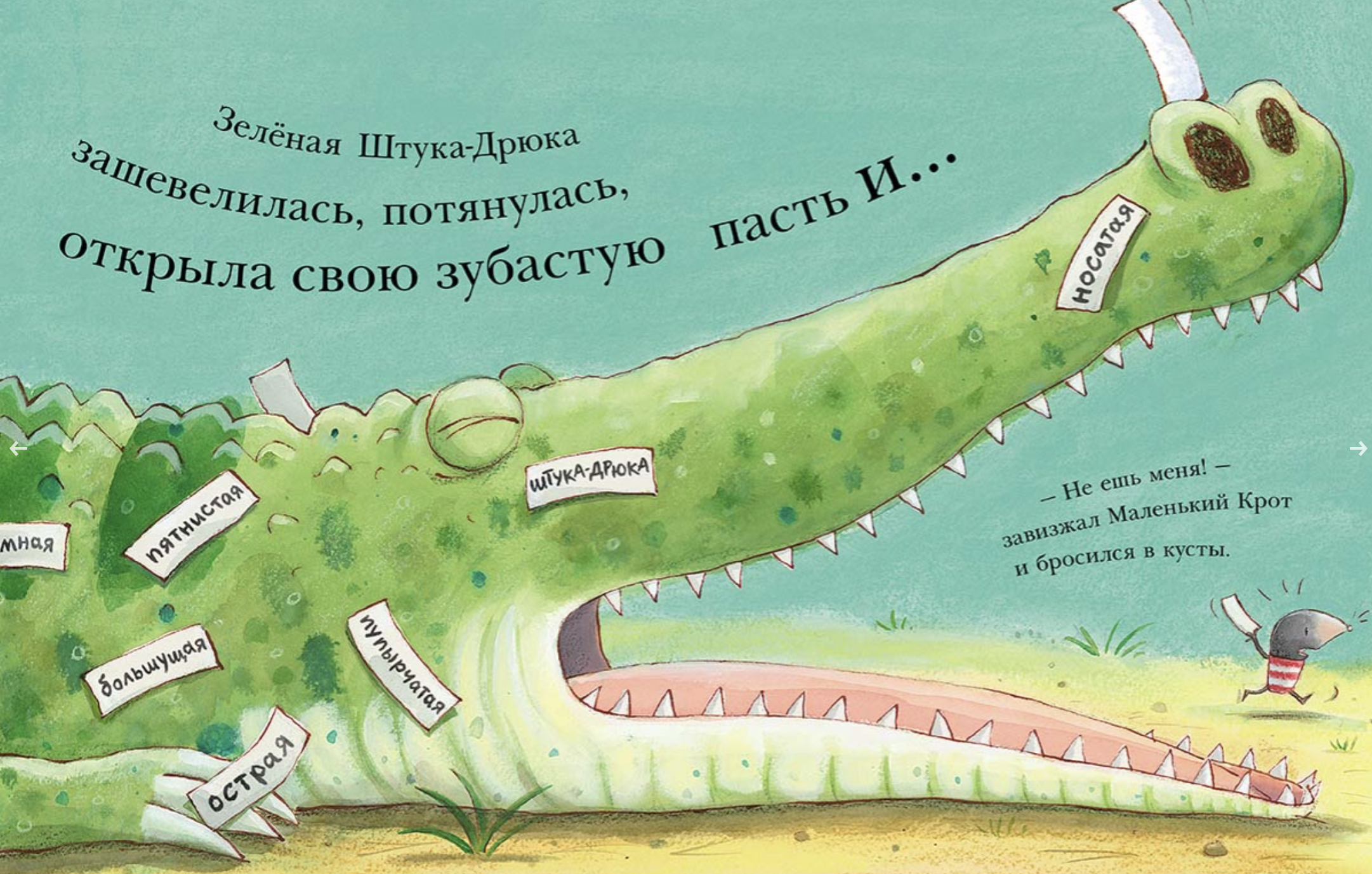 Штука-Дрюка. Уорнс Тим