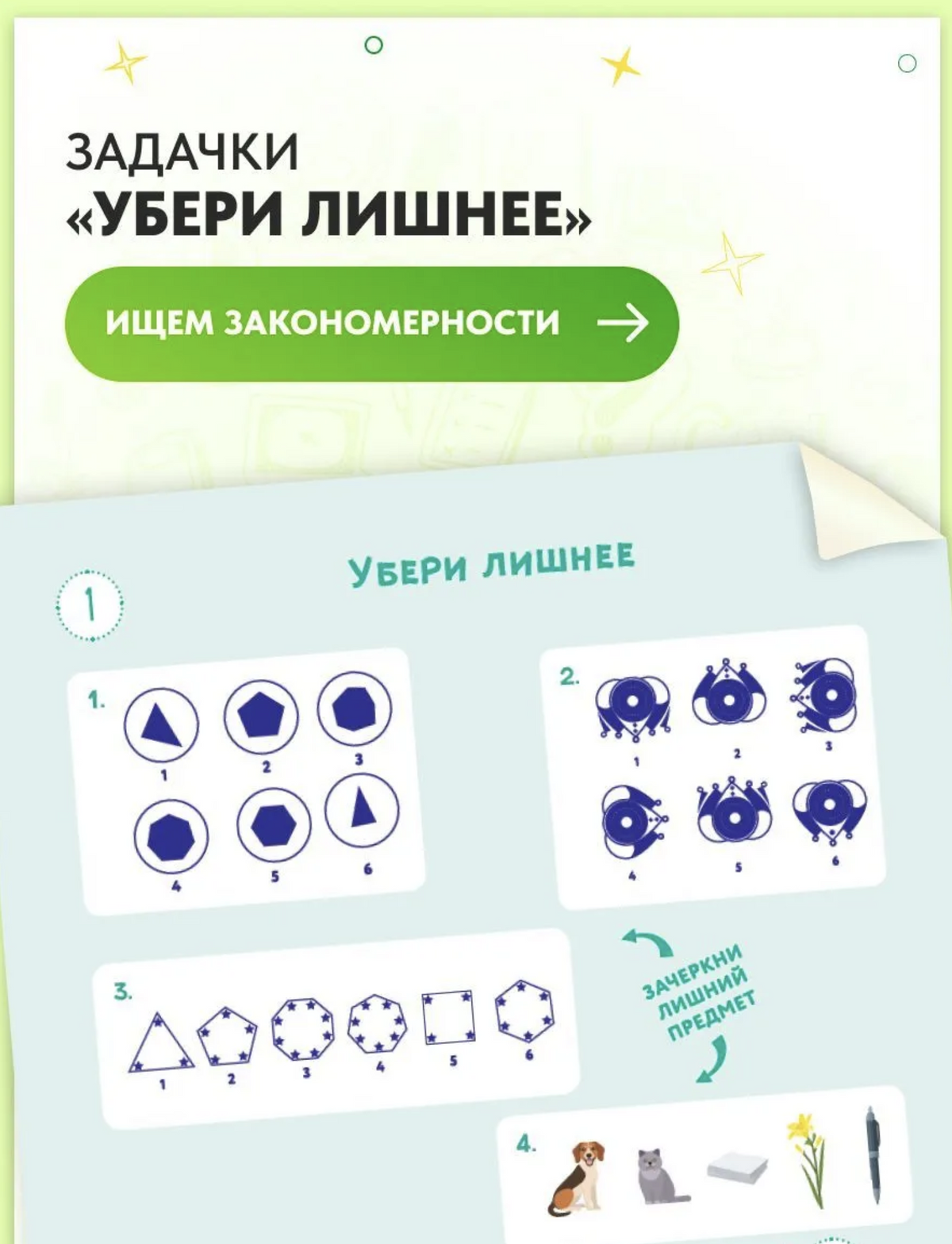 Развиваем мозг. Как тренировать логику и мышление у детей 9-14 лет. Ахмадуллин Шамиль Тагирович