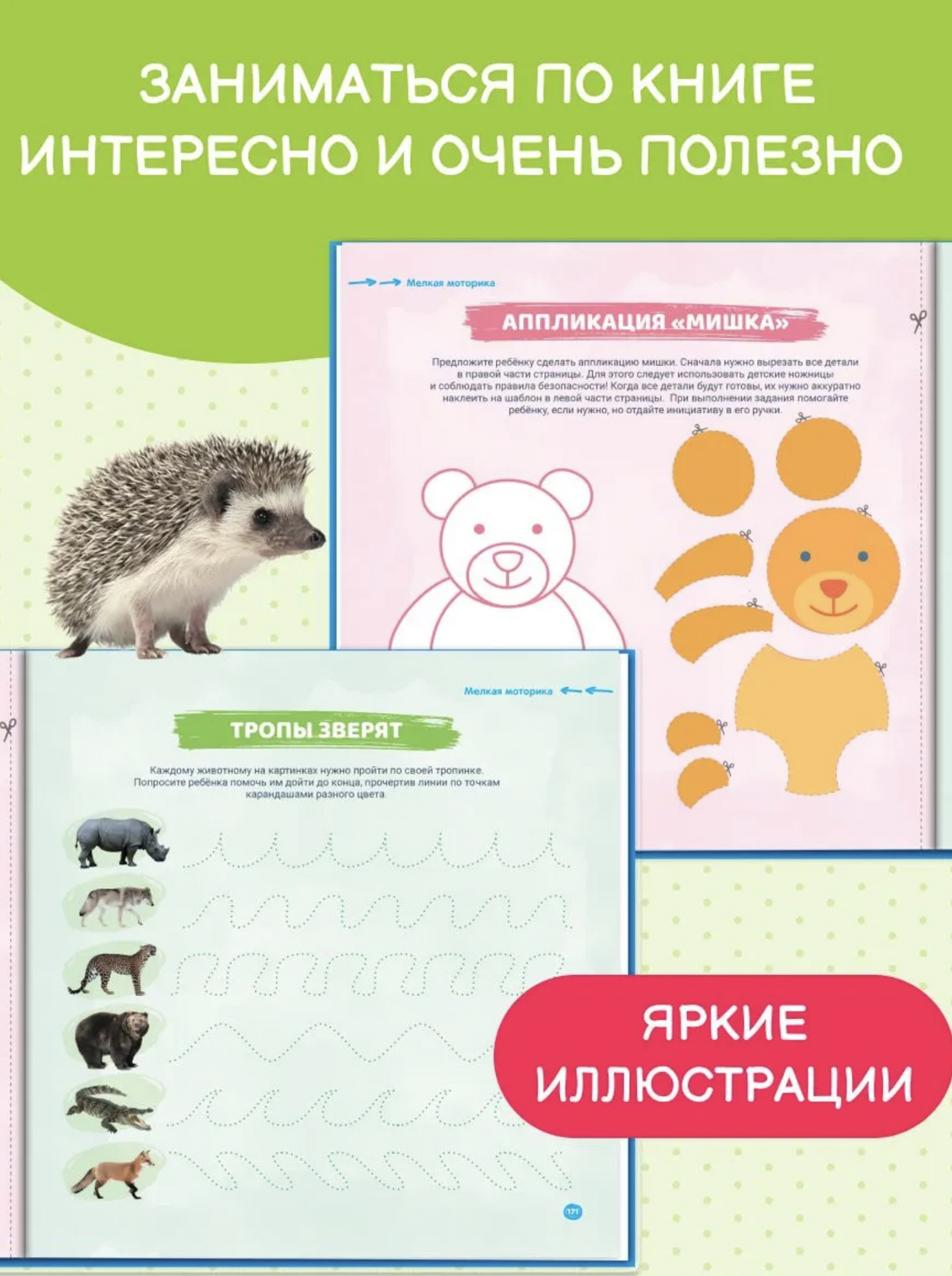 Ваш малыш. Шаг за шагом. Помесячный план развития 3+. Ахмадуллин Шамиль Тагирович