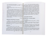 Русский язык. Орфография. Пунктуация. Д. Э. Розенталь, И. Б. Голуб