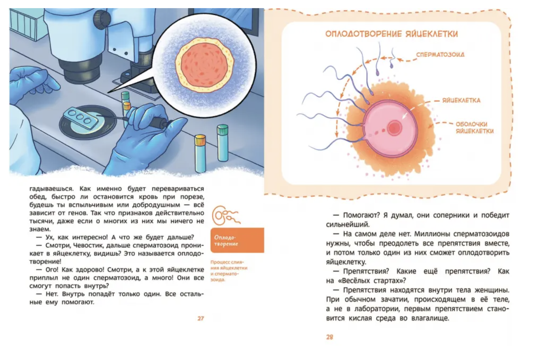 Откуда берутся дети? Детские энциклопедии с Чевостиком. Татьяна Румянцева