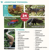 Мир на ладошке "Тигр". Детская энциклопедия в фотографиях. Развивающие карточки для малышей