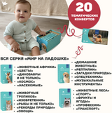 Мир на ладошке "Спорт". Детская энциклопедия в фотографиях. Развивающие карточки для малышей