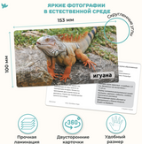 Мир на ладошке "Спорт". Детская энциклопедия в фотографиях. Развивающие карточки для малышей