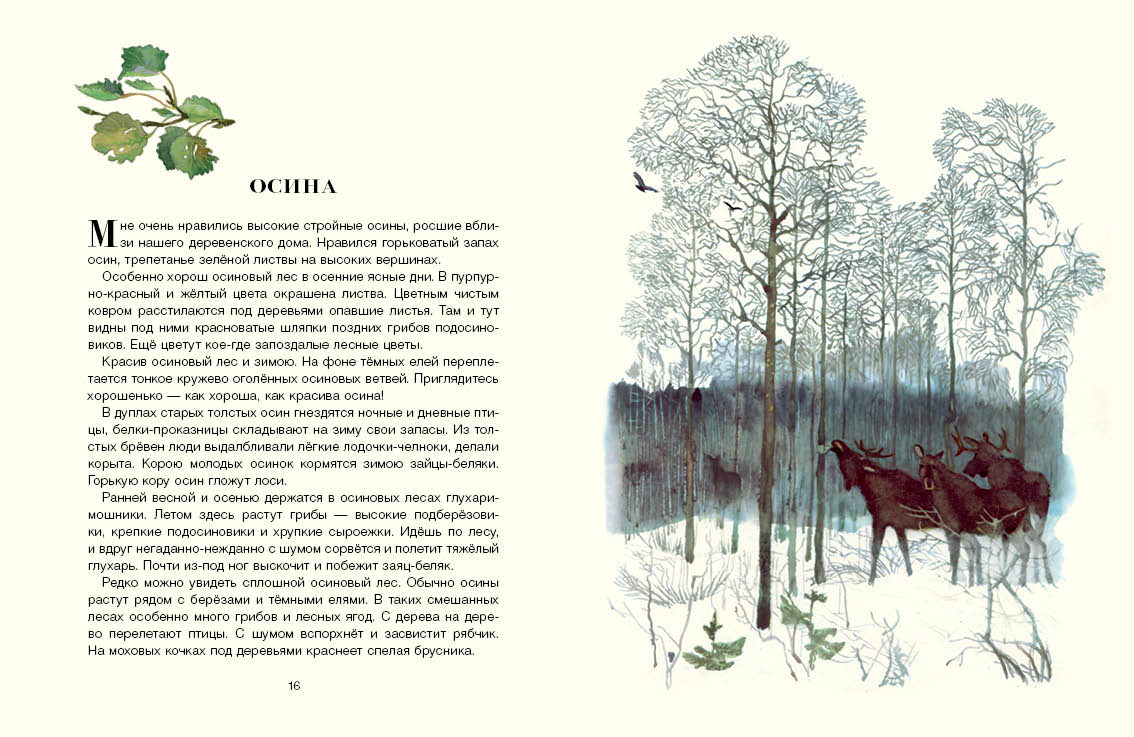 Русский лес. Соколов-Микитов Иван