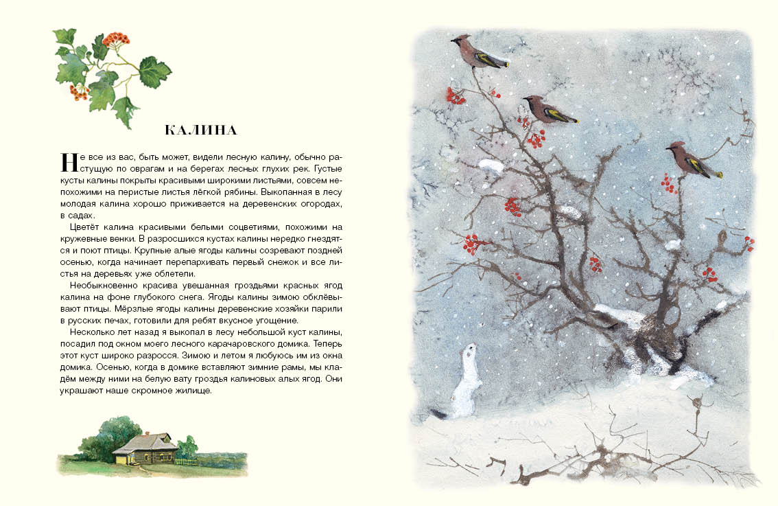 Русский лес. Соколов-Микитов Иван