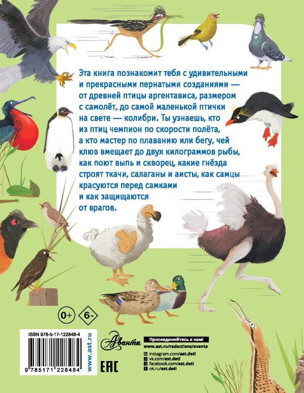 Какие бывают птицы? ("Моя первая книга обо всём на свете")