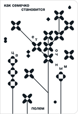 Как семечко становится цветочным полем. Катя Цитрус