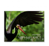 Белый аист. Посланец неба. Черный аист. Лесной отшельник. Николай Шпиленок