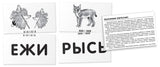 Обучение грамоте. Лев. Читаем слова-слоги. Набор карточек. Штец А.А.