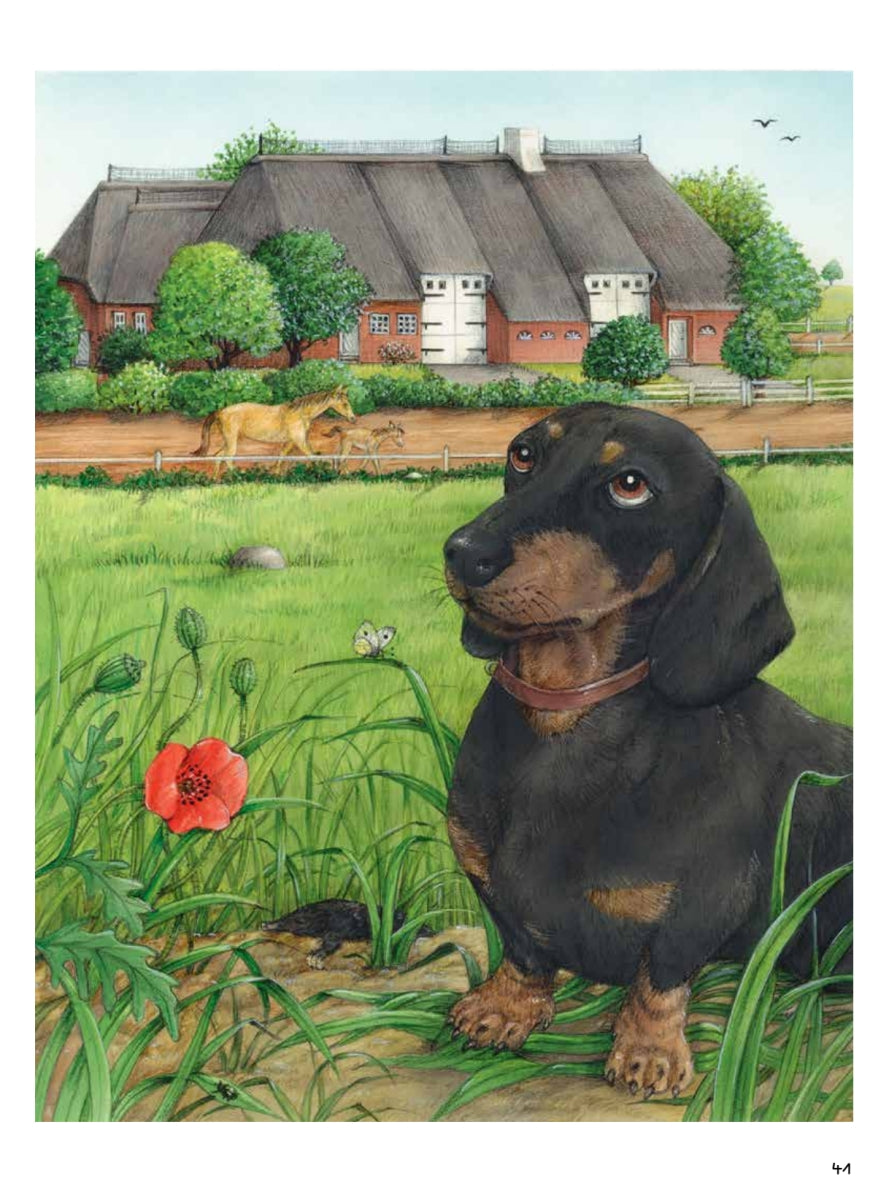 Моя самая красивая книга о кошках и собаках. Сюзанна Риха