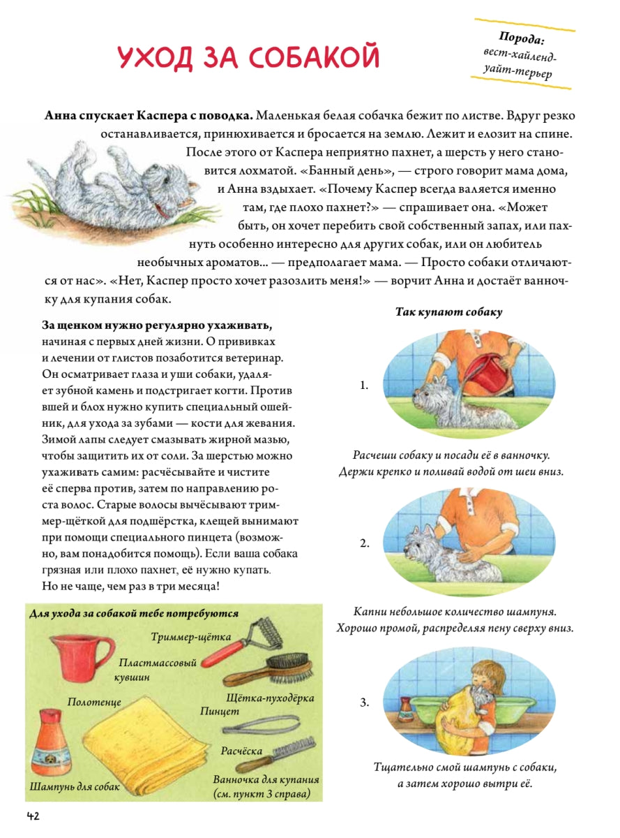 Моя самая красивая книга о кошках и собаках. Сюзанна Риха