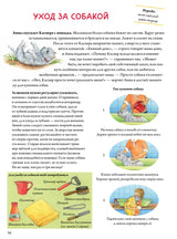 Моя самая красивая книга о кошках и собаках. Сюзанна Риха