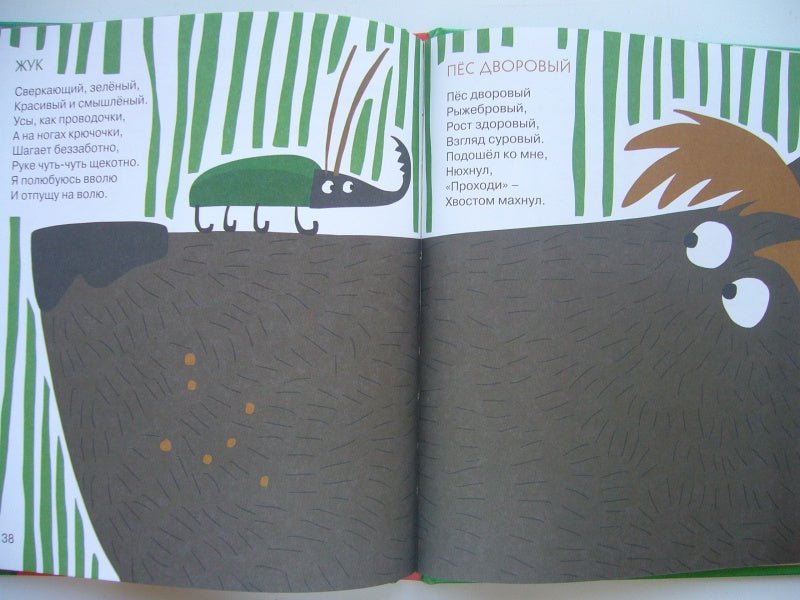 Яблочки—пятки. Анастасия Орлова