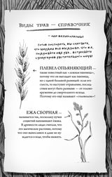 Роза Фалви и волшебник в саду. Саймон Фарнаби