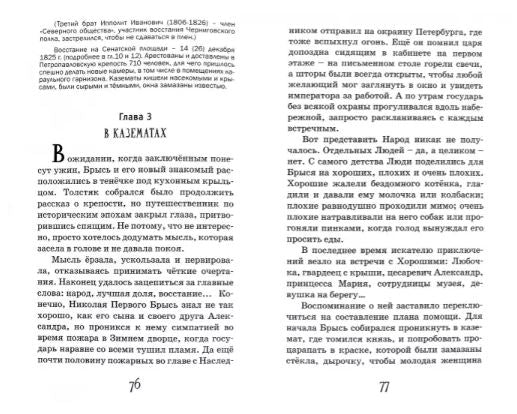 Брысь, или Кот Его Высочества. Серия "Невероятные приключения Брыся в пространстве и времени". Ольга Малышкина
