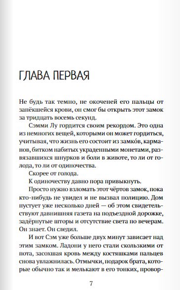 Мальчик, который крадёт дома. С. Дж. Дрюс