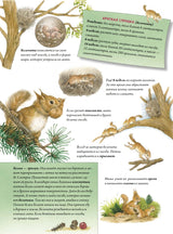 Пушистые малыши. Как растут животные и птицы. Риха С.