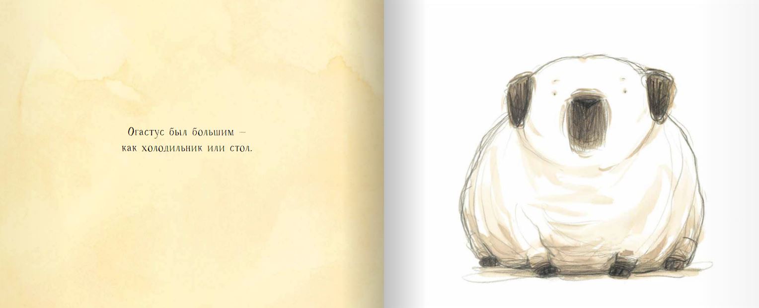 Олли и Огастус. Габриэль Эванс