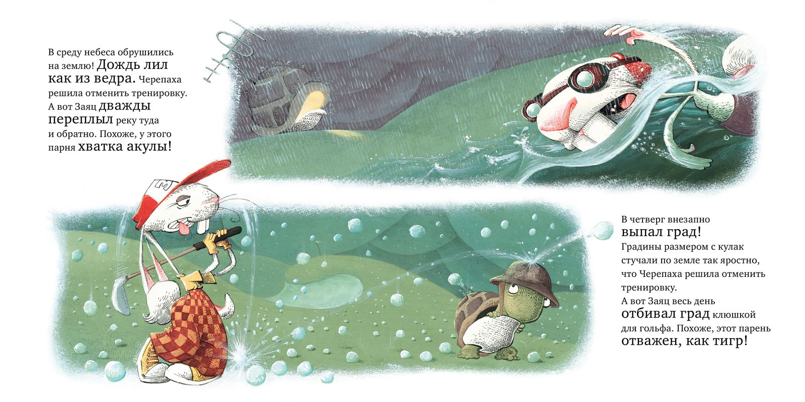 Черепаха и Заяц: матч-реванш!