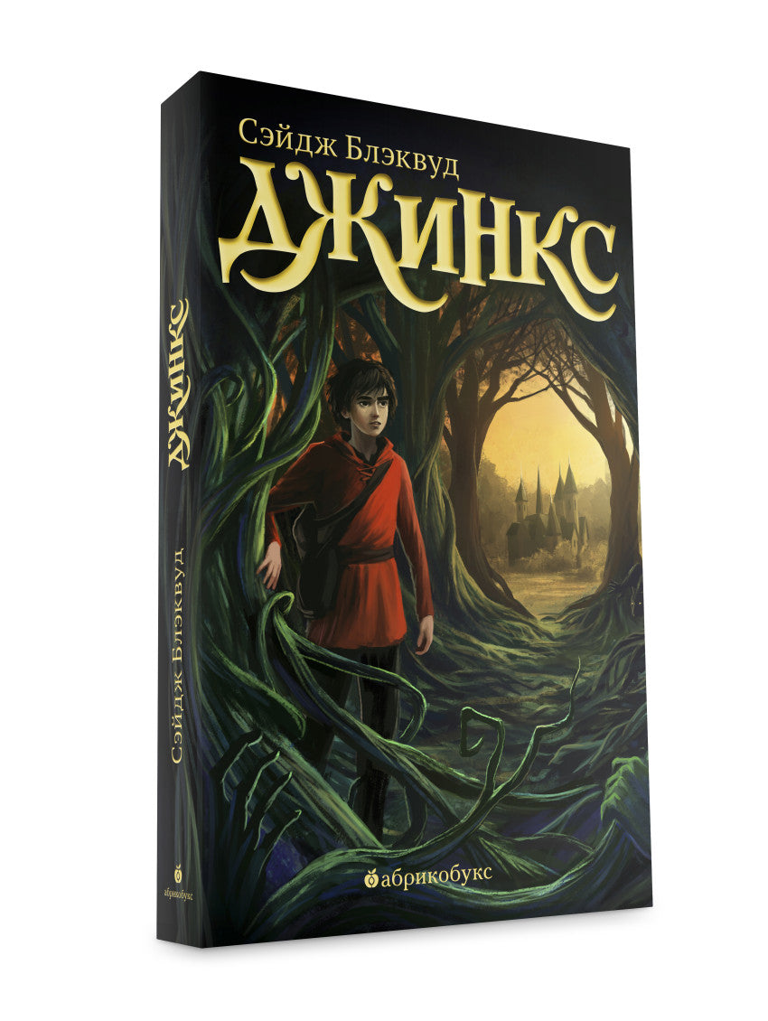 Джинкс. Книга первая. Блэквуд Сэйдж