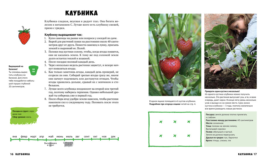Мой первый огород. Посей, собери, съешь