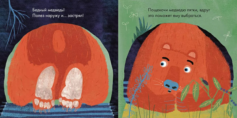 Бедный медведь. Плавинская Поля