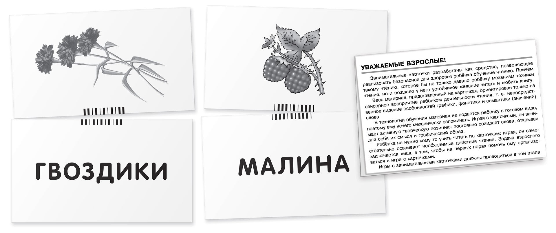 Обучение грамоте. Собака. Читаем по слогам. Набор карточек