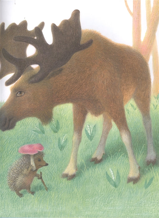 Дневник медвежонка. Геннадий Цыферов