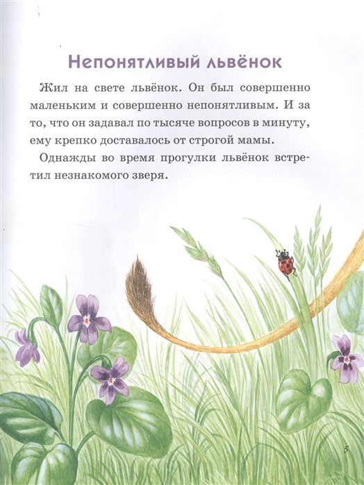 Непонятливый львенок. Михаил Пляцковски