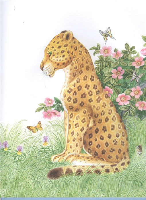 Непонятливый львенок. Михаил Пляцковски