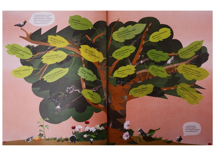 Архитектура глазами голубя. Пернохвост Крап Ли