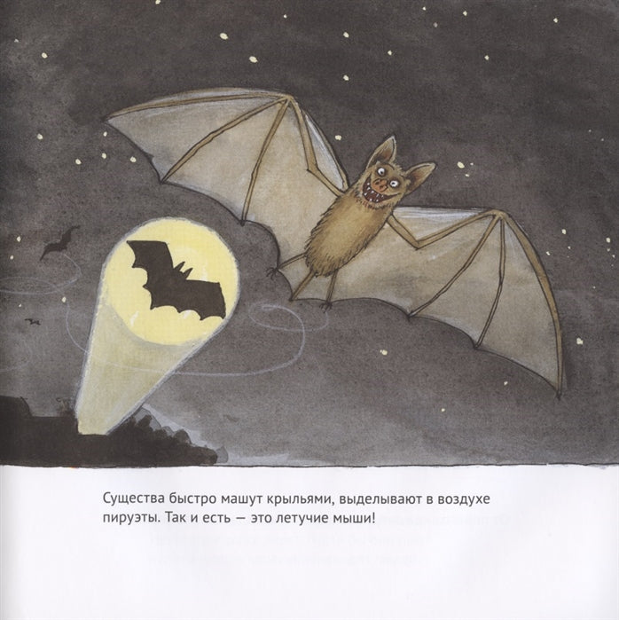 Удивительные летучие мыши