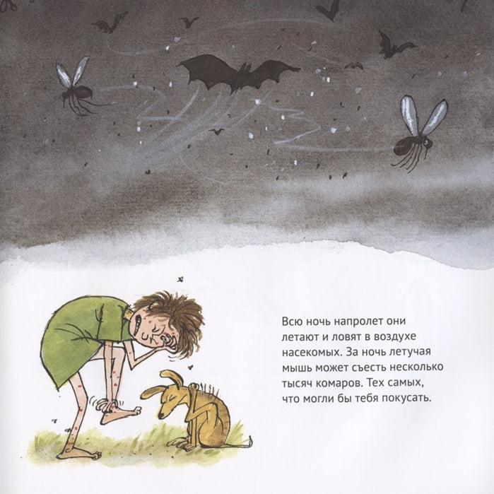 Удивительные летучие мыши