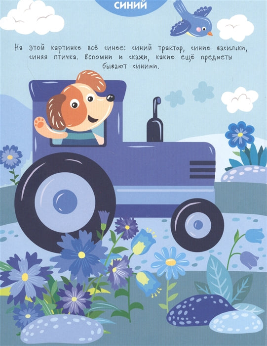 Что какого цвета? Книги с окошками