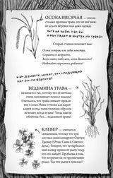 Роза Фалви и волшебник в саду. Саймон Фарнаби