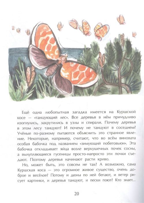 Калининград. Там, где танцует лес. О. Велейко