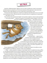 Лесной календарь. Риха С. Я хочу все знать!