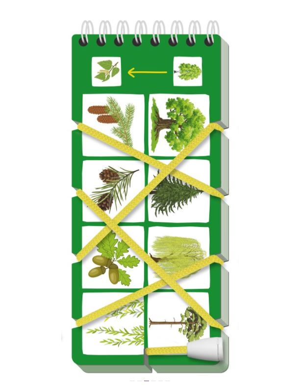 Игры со шнурком. Необыкновенные растения