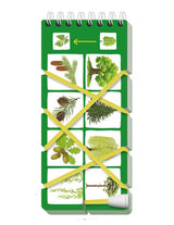 Игры со шнурком. Необыкновенные растения