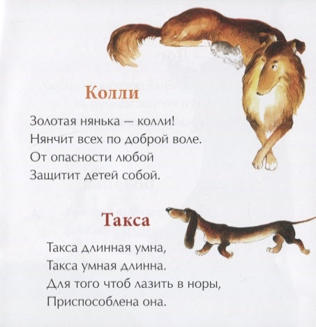 День рождения собаки. Книжка-малышка. Р. Алдонина