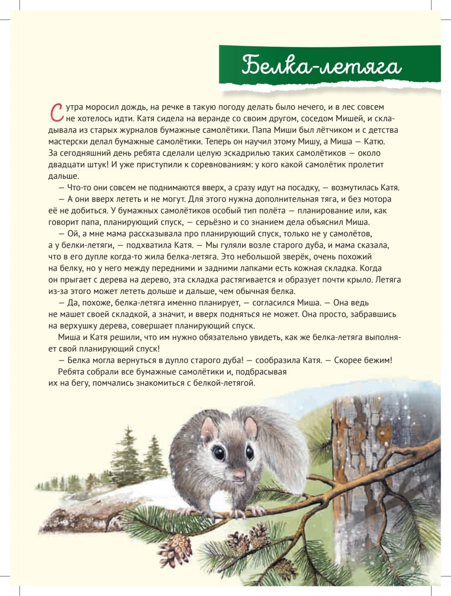 Кто где живёт? Звери и птицы леса. Марина Тиходеева