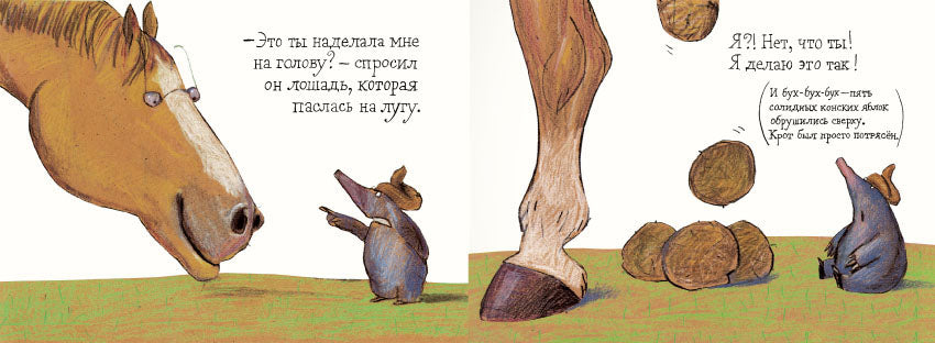 Маленький крот, который хотел знать, кто наделал ему на голову. Хольцварт Вернер