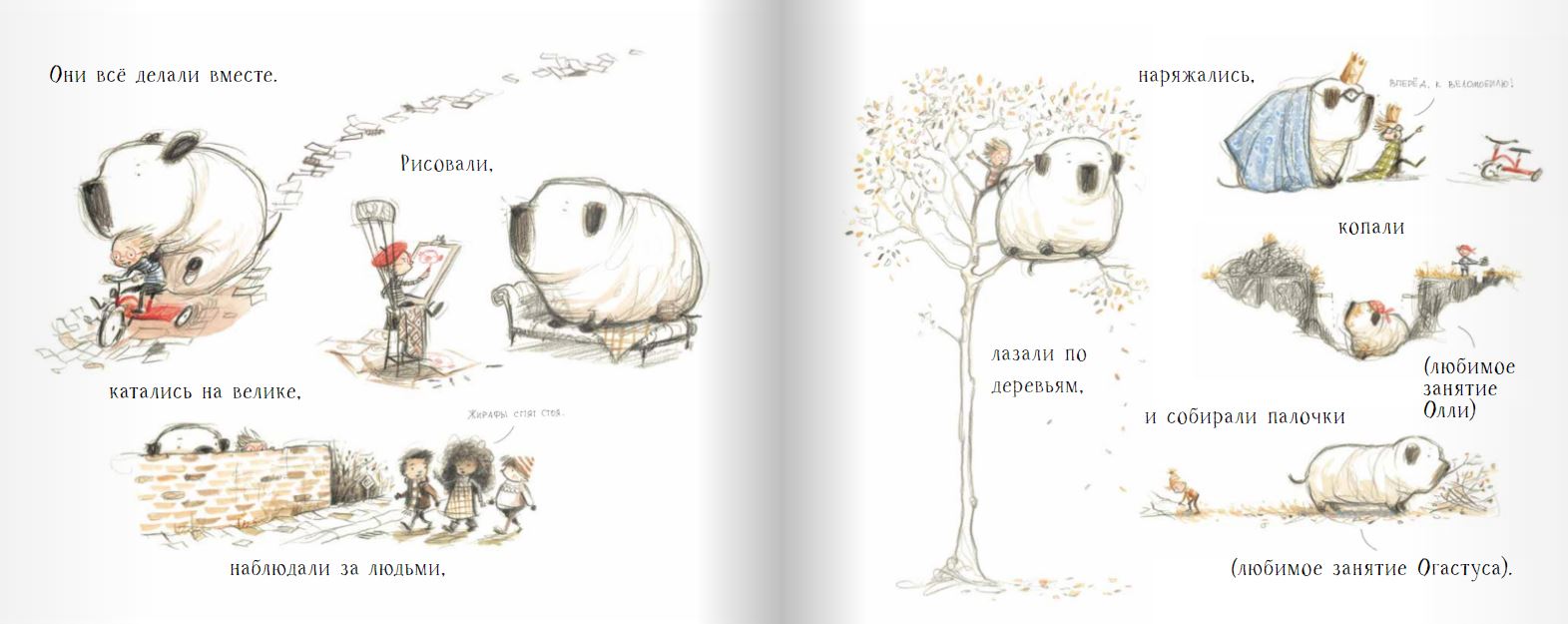 Олли и Огастус. Габриэль Эванс