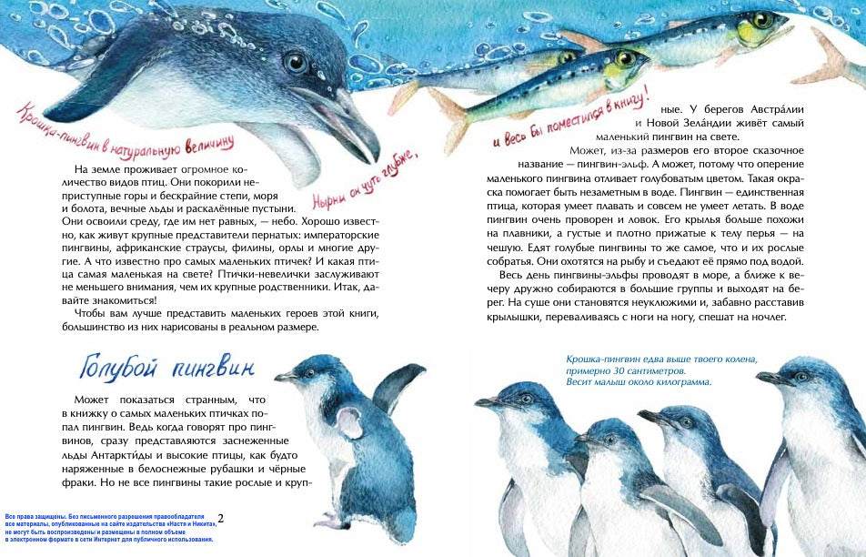 Птички-невелички. Кто на свете меньше всех? Габеева Н.