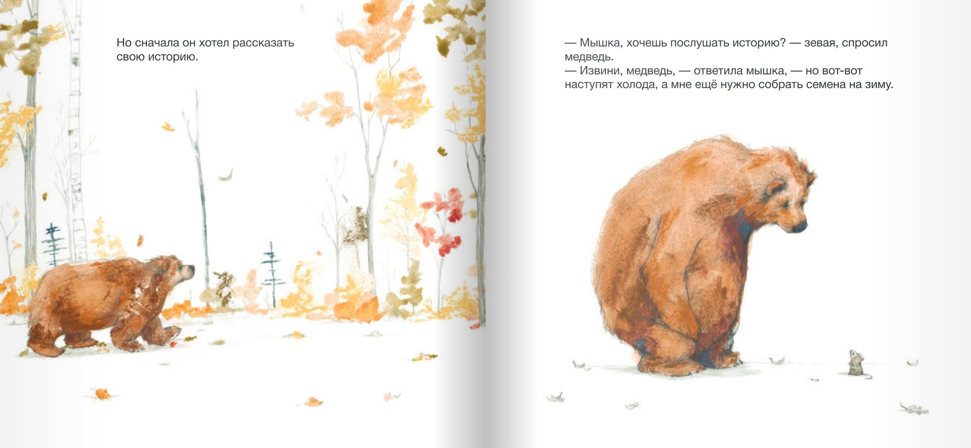 Медведь хочет рассказать историю. Стед Филип К.