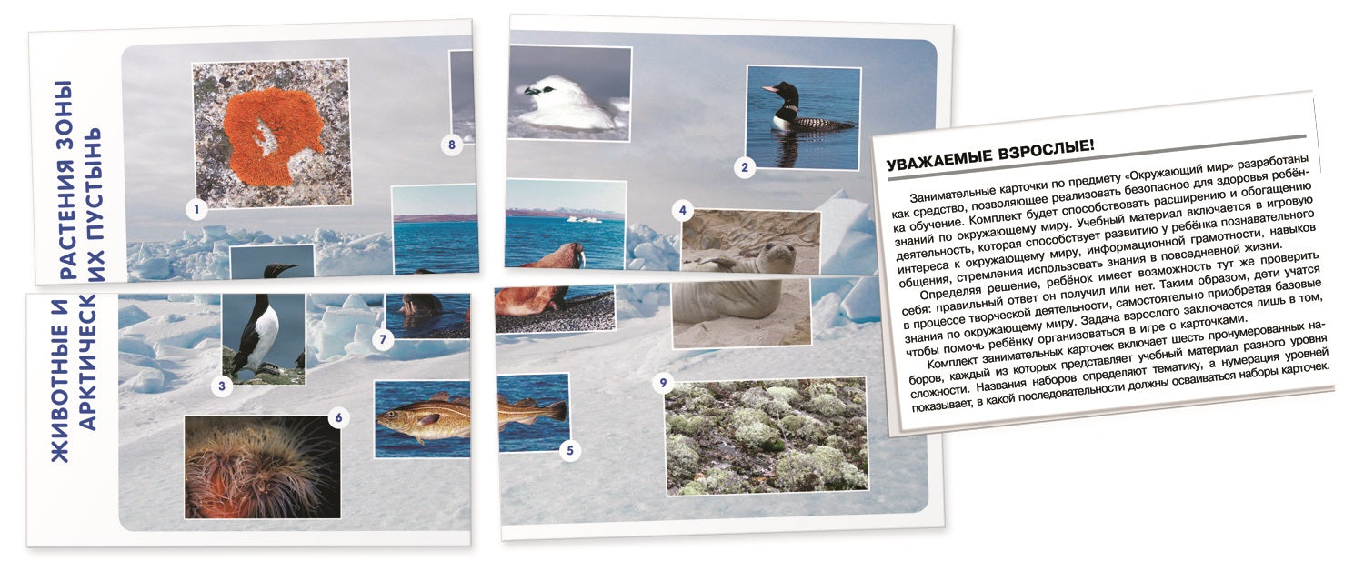 Природа. Животные и растения России. Гончарова Е.М.