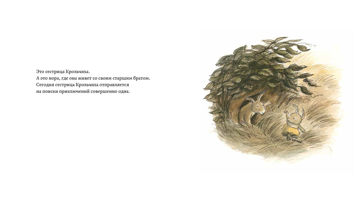 Сестрица Крольчиха совсем заблудилась. Нильсон Ульф