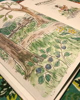 Вертихвост, или полная песен, пряников, похищений и подвигов жизнь Пригорка-сорок-норок. Турбьерн Эгнер